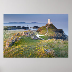 Twr Mawr Lighthouse On Llanddwyn Island Poster
