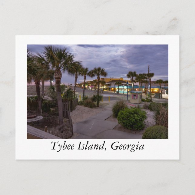 Tybee Island Georgia  Postcard (Front)
