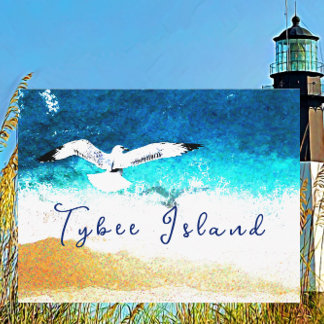 Tybee Island Georgia Seagull Soaring over Beach Postcard