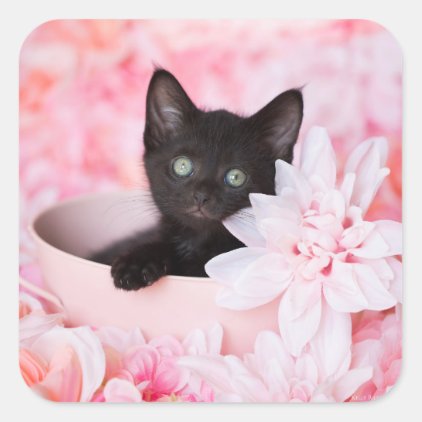 Tye Kitten Pink Floral Square Sticker