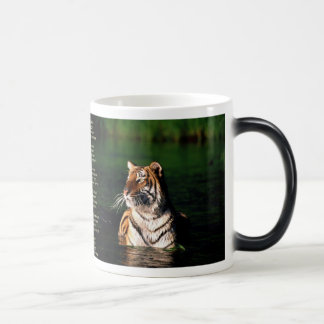 Tyger, Tyger Color Morph Mug