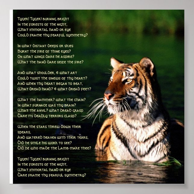 Tyger, Tyger Print (Front)