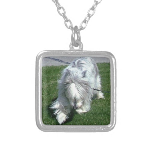 Tyler _ Dog Walking Photo Magnet Silver Plated Necklace