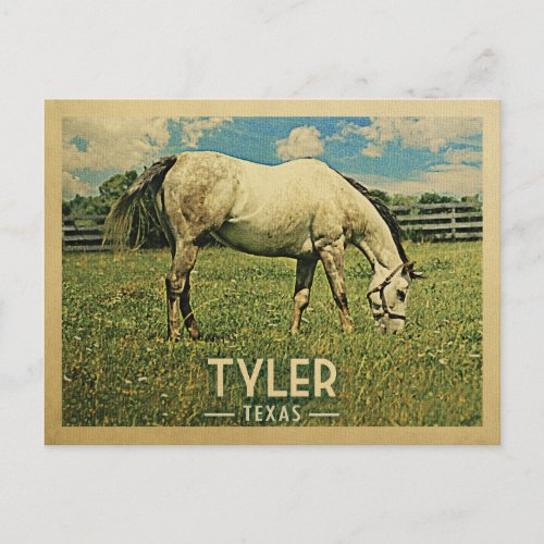 Tyler Texas Horse Farm _ Vintage Travel Postcard