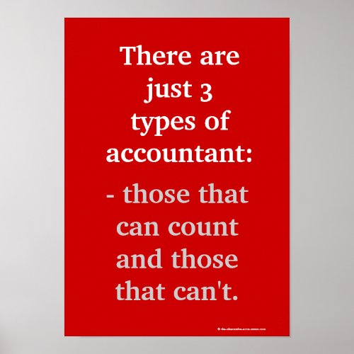 Types of Accountant Famous Funny Accounting Quote Poster