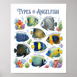 Types of Angelfish Watercolor Reef Fish Art Poster
