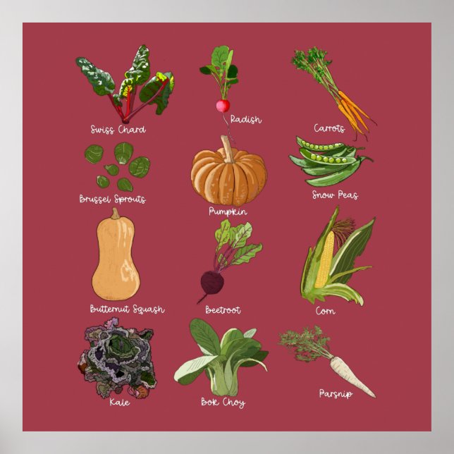 Types of Autumn Veggies Fall Vegetable Harvest Poster (Front)
