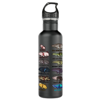 Types of Axolotls  Stainless Steel Water Bottle