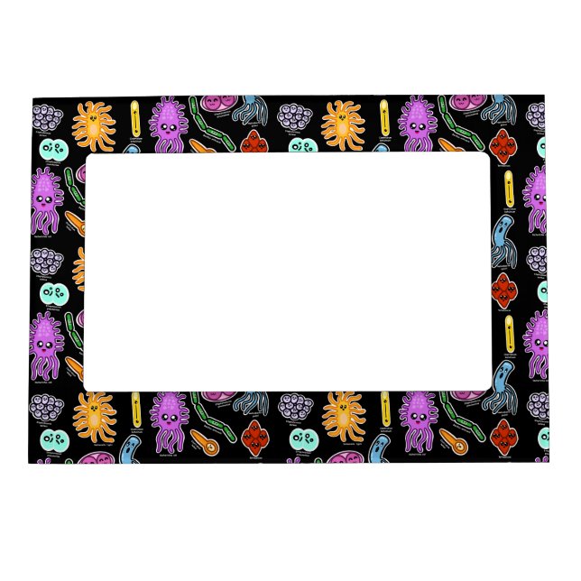 Types Of Bacteria Magnetic Frame (Front)