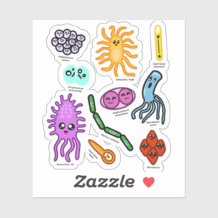 Types Of Bacteria Sticker