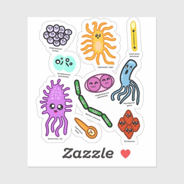 Types Of Bacteria Sticker (Sheet)