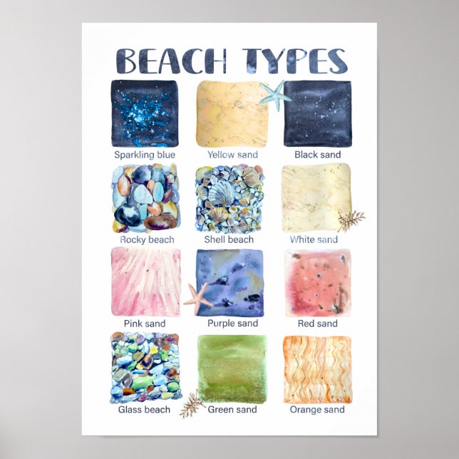 Types of Beaches Educational  Poster (Front)