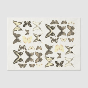 Types of Butterflies Collection Sepia Beige Tissue Paper