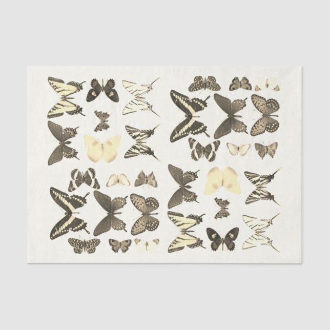 Types of Butterflies Collection Sepia Beige Tissue Paper (Front)