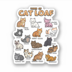Types of Cat Loaf Cute Kitten Kawaii Cats Cat Love Sticker