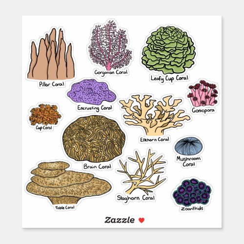 Types Of Coral Sticker