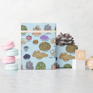 Types Of Coral Wrapping Paper