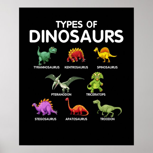 Types Of Dinosaurs Dino Identification Poster (Front)