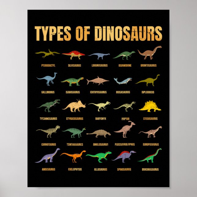 Types Of Dinosaurs - Dino Identification - Rex Din Poster (Front)