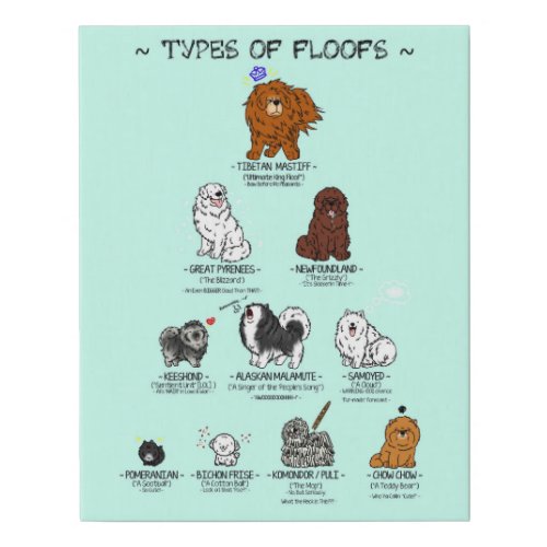  Types of Floofs  Chart 11 x 14 Faux Canvas Print