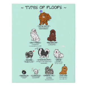 ~ Types of Floofs~ Chart (16" x 20") Faux Canvas Print
