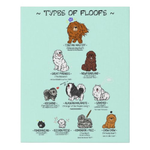  Types of Floofs Chart 16 x 20 Faux Canvas Print