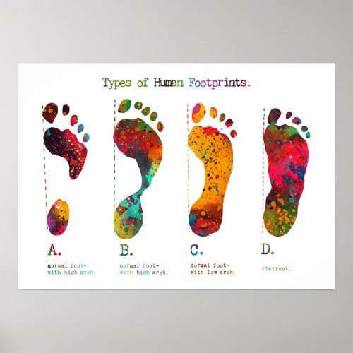 Types of Footprints  Poster