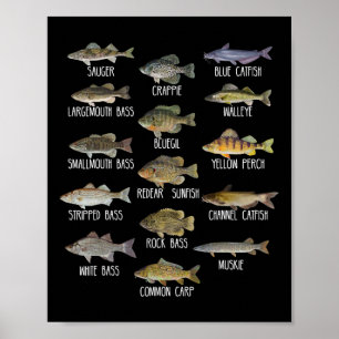 Types Of Freshwater Fish Species Biology Fishing Poster