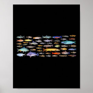 Types Of Freshwater Fish Species Biology Fishing  Poster