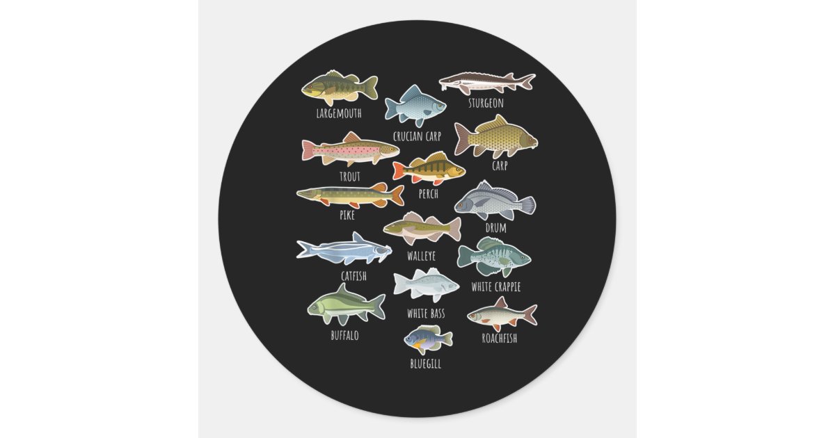 Types Of Freshwater Fish Species Fishing Classic Round Sticker