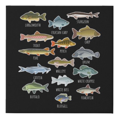 Types Of Freshwater Fish Species Fishing Faux Canvas Print