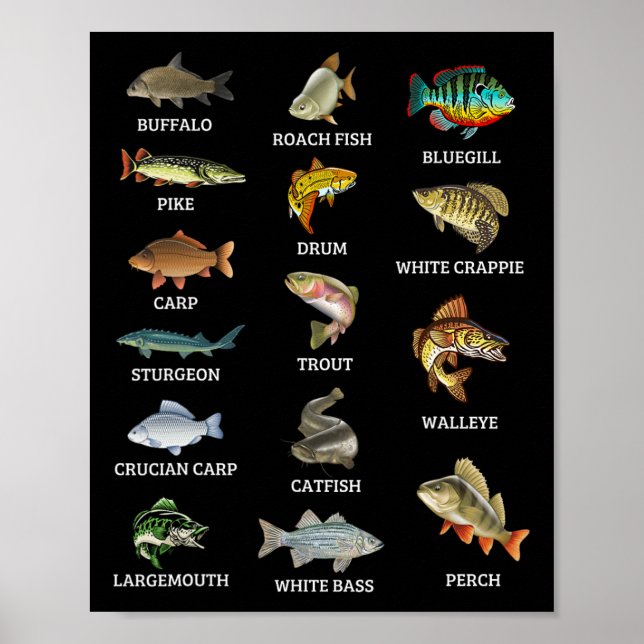 Types Of Freshwater Fish Species Fishing Fisherman Poster (Front)