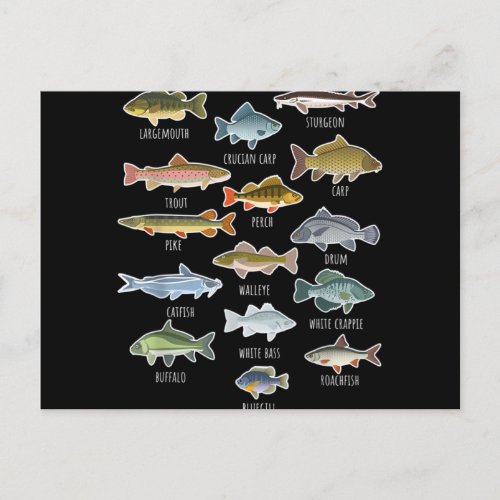 Types Of Freshwater Fish Species Fishing Holiday Postcard