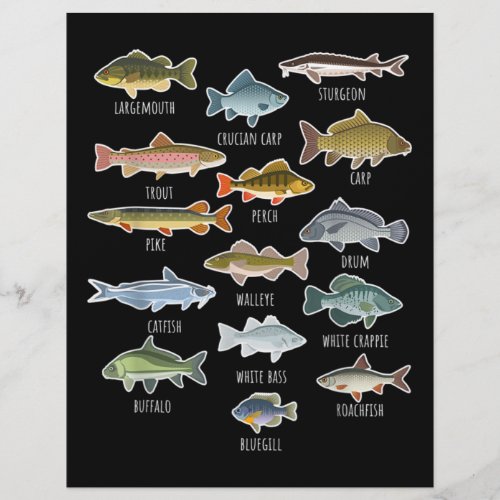 Types Of Freshwater Fish Species Fishing Letterhead
