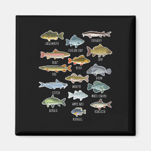 Types Of Freshwater Fish Species Fishing Magnet