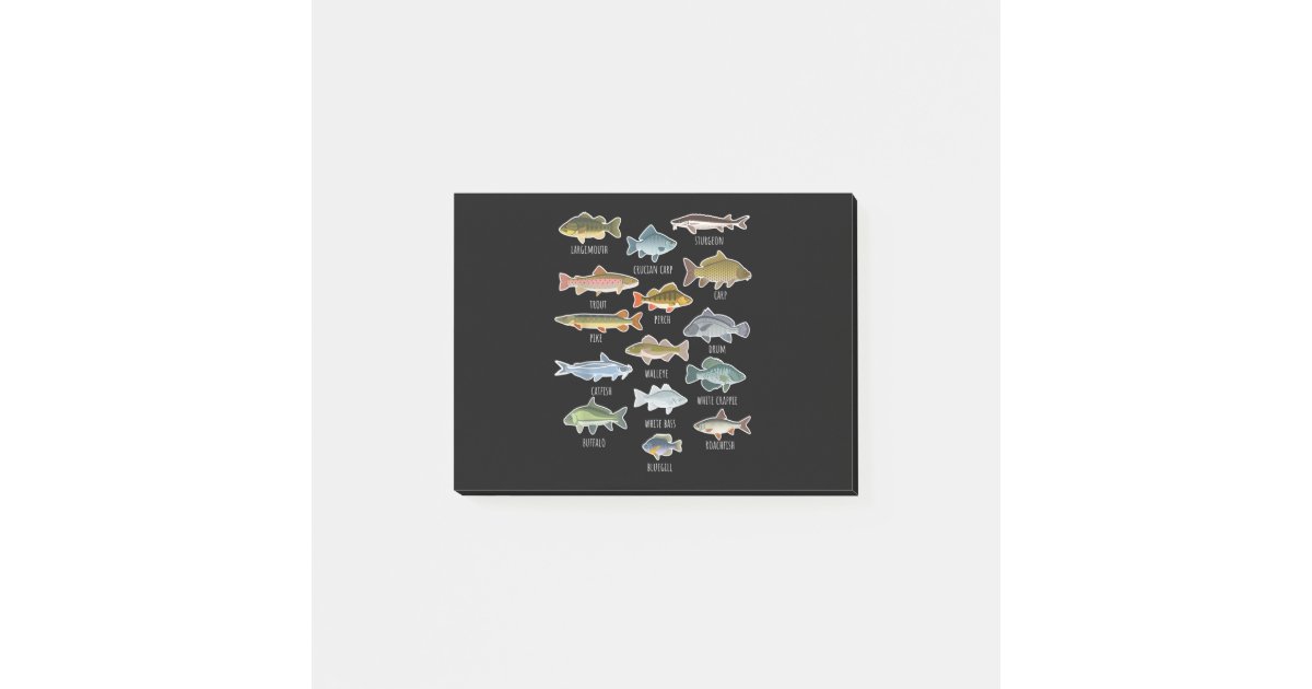 Types Of Freshwater Fish Species Fishing Post-it Notes | Zazzle