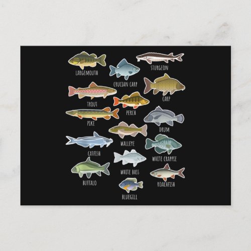 Types Of Freshwater Fish Species Fishing Postcard