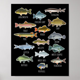 Types Of Freshwater Fish Species Fishing Poster