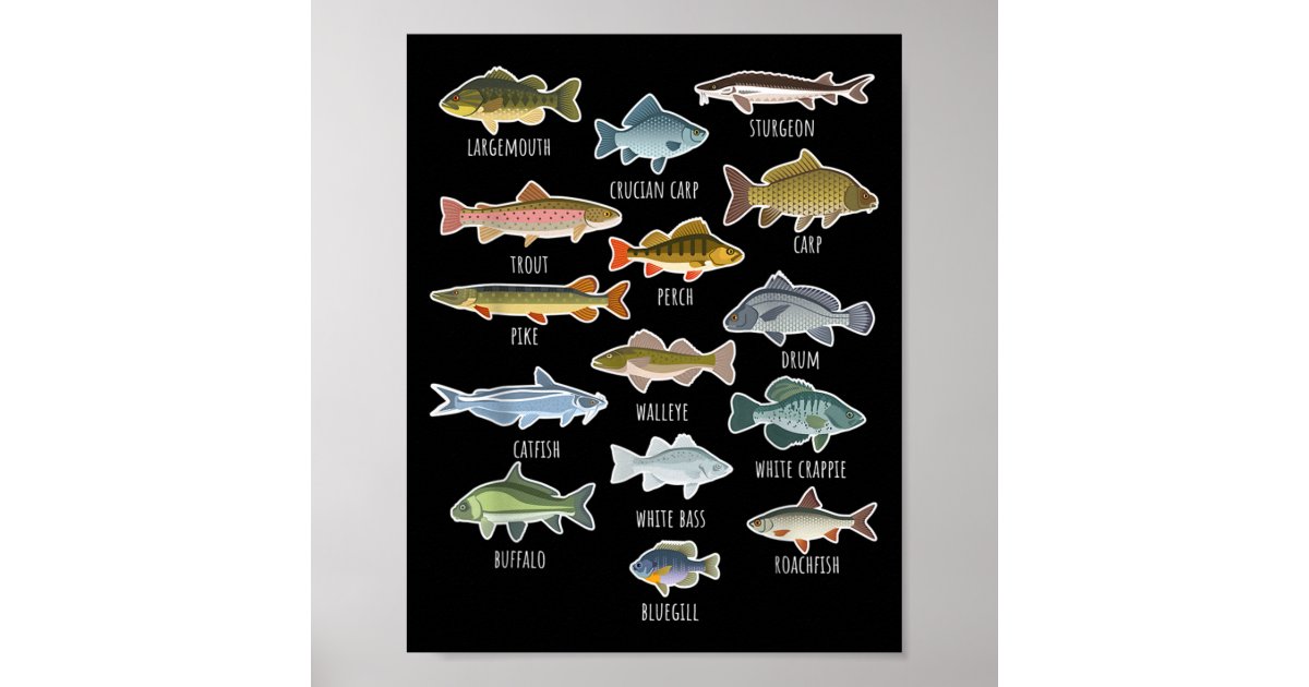 types of freshwater fish chart