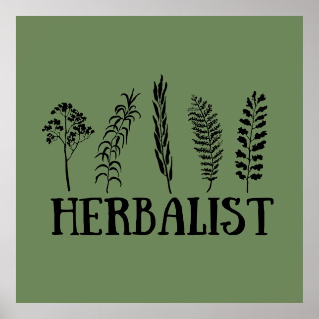 Types of herbals herbalist poster (Front)