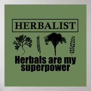 Types of herbals herbalist poster