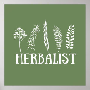 Types of herbals herbalist poster