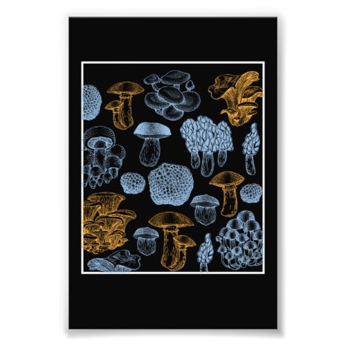 Types Of Mushrooms Mushroom Collecting Fungi Photo Print