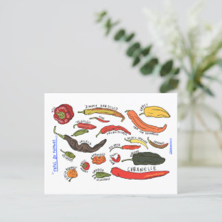 Types of Peppers Postcard