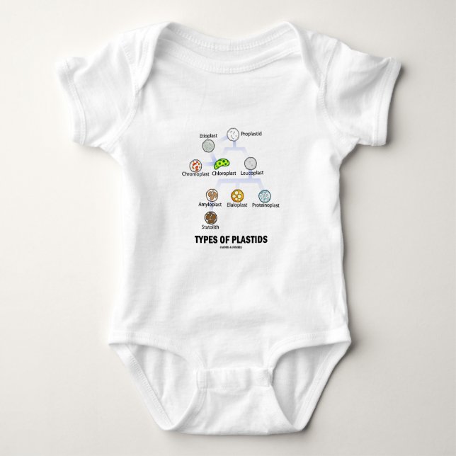 Types Of Plastids Baby T-Shirt (Front)