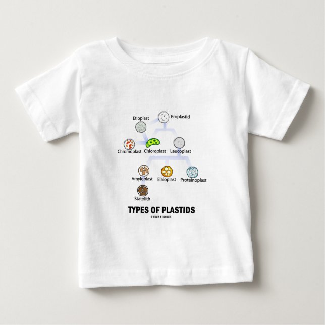 Types Of Plastids Baby T-Shirt (Front)