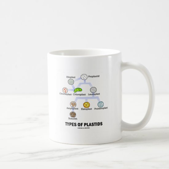 Types Of Plastids Coffee Mug