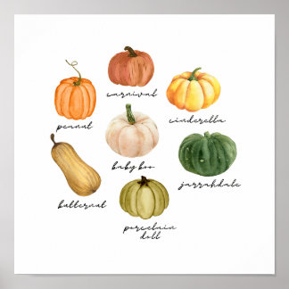 types of pumpkins poster