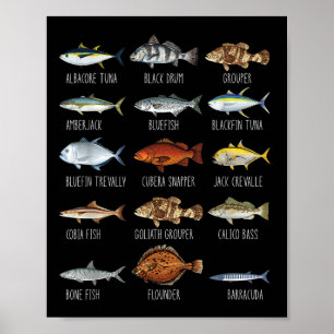 Types Of Saltwater Fish Species Biology Fishing Lo Poster
