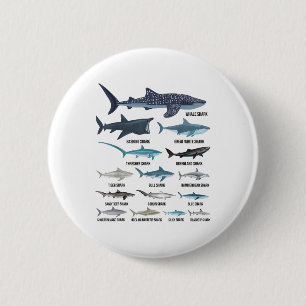 Types Of Sharks Shark Species Identification Ocean Button
